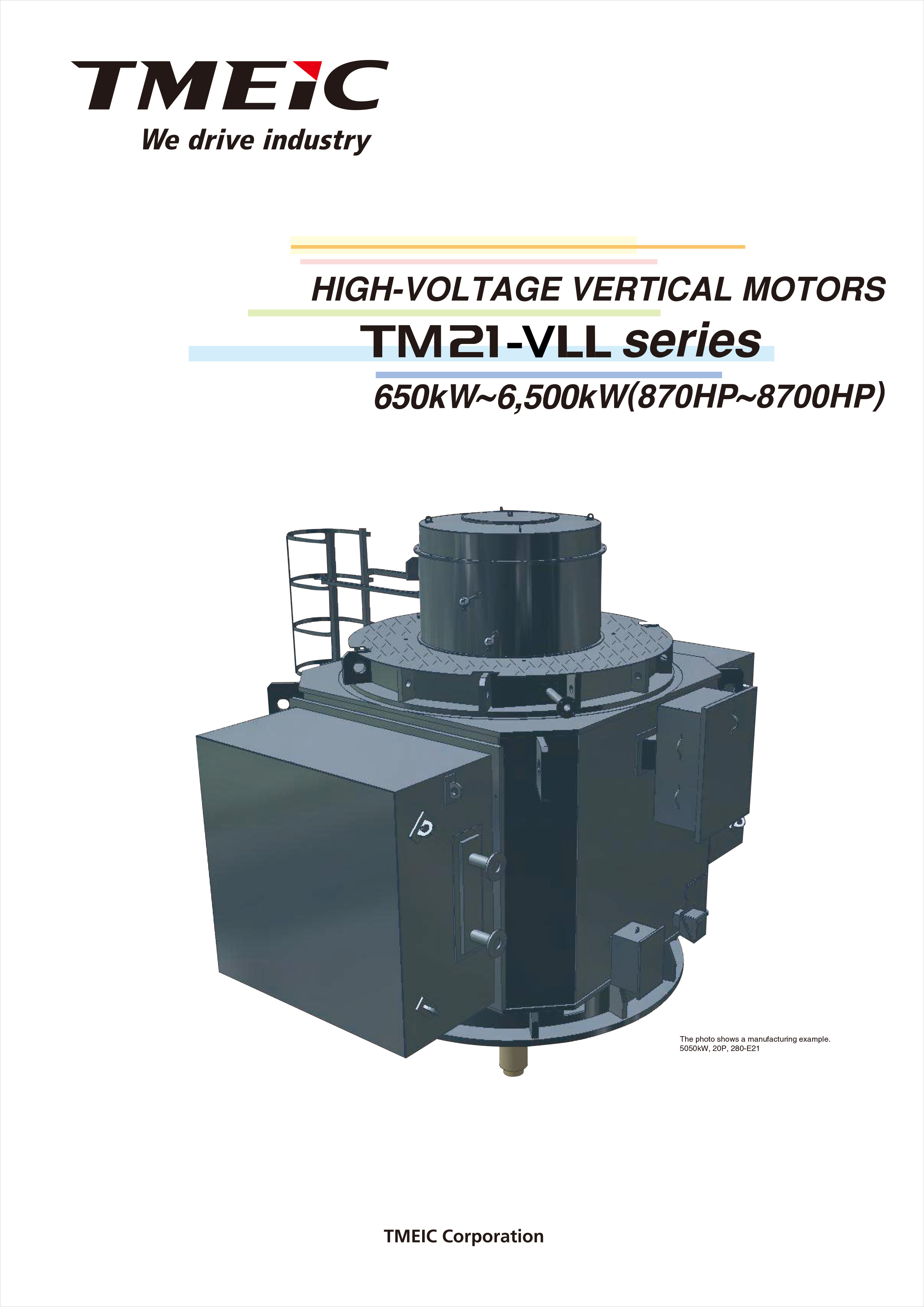 TM21-VLL Vertical Motors