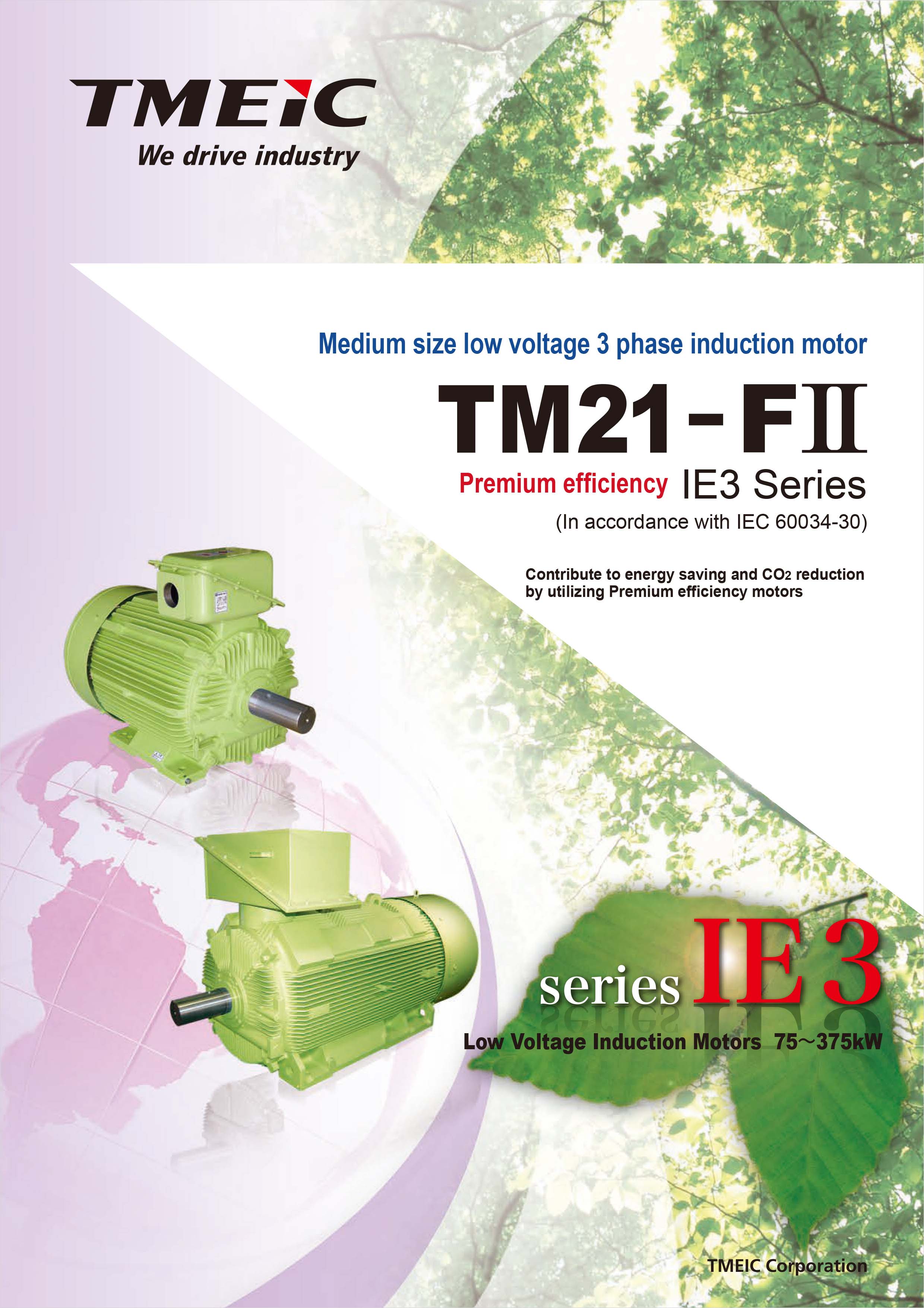 TM21-FII Premium Efficiency IE3 Series
