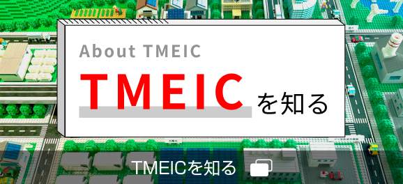 WHAT IS TMEIC?