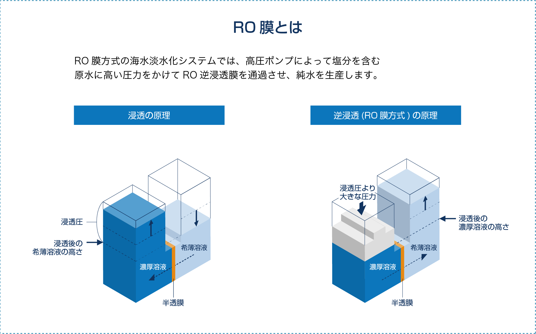 概要/特長