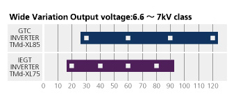 Wide Variation(Output voltage:6.6~7kV class)
