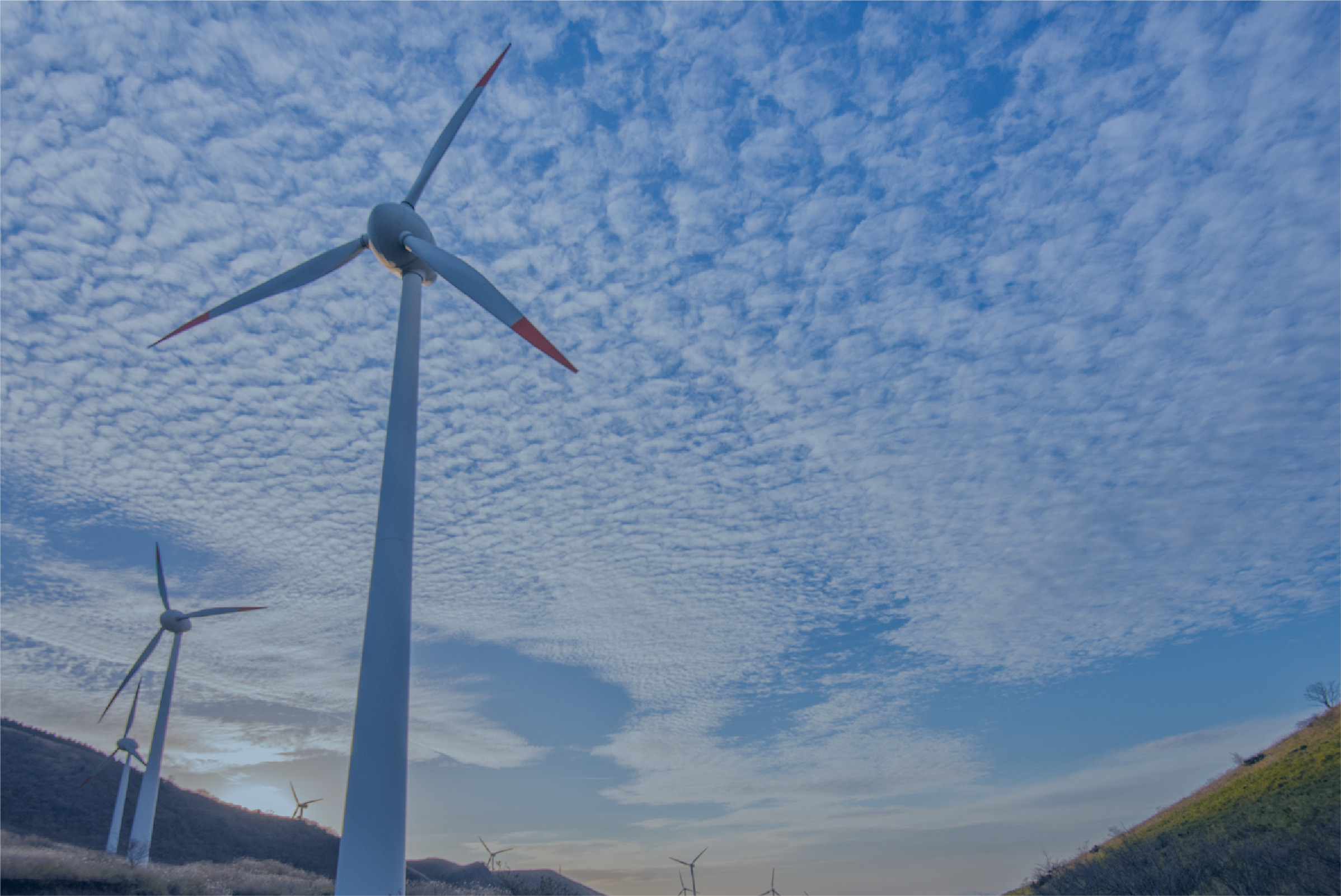TMEICはパワーコンディショナを中心に、さまざまな機器・サービスでお客様の太陽光発電を支えています