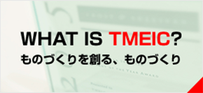 WHAT IS TMEIC?