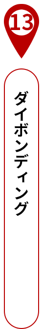 13 ダイボンディング