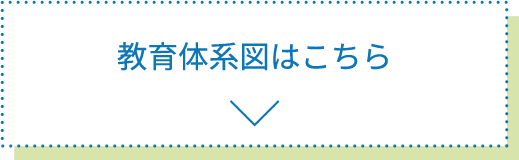 教育体系図はこちら