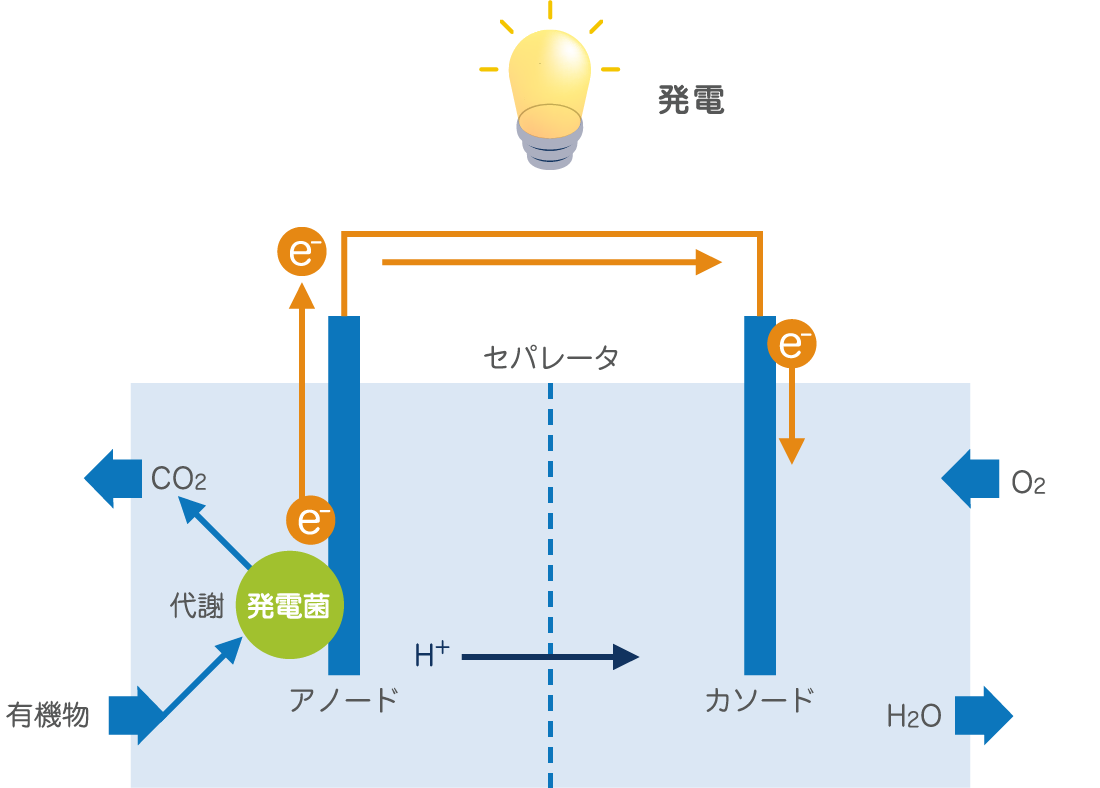 微生物電池の原理