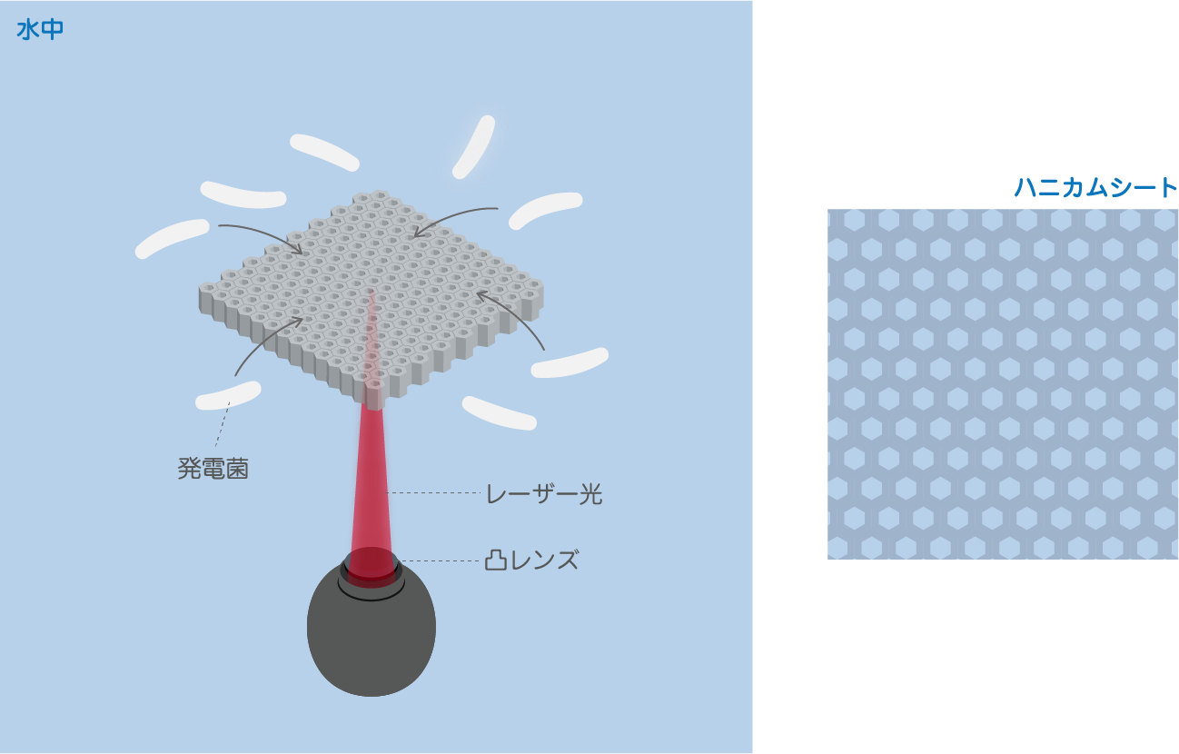 外場誘導による発電菌濃縮技術