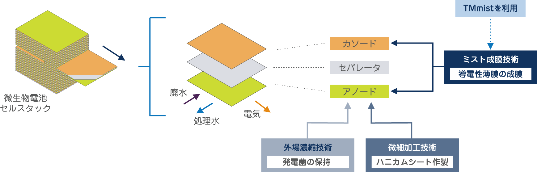 微生物電池セルの構成