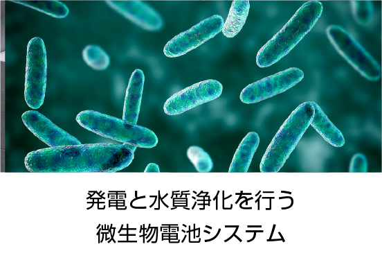 発電と水質浄化を行う微生物電池システム